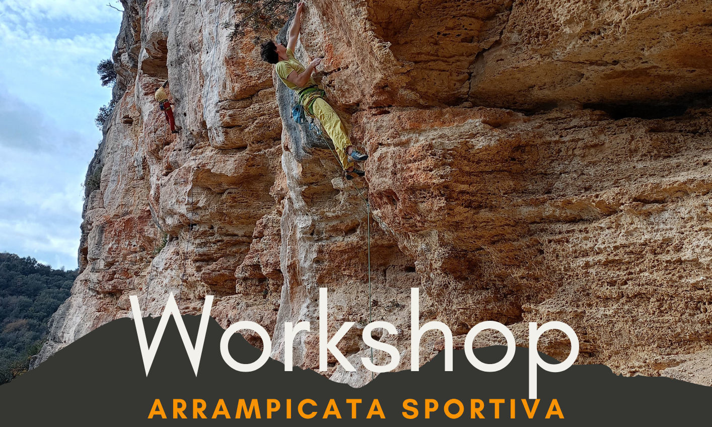 Beginner sports climbing course — 4 days on real rock